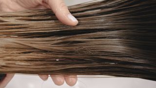 髪の中をデザインする。しなやかさを生む髪質改善の本質